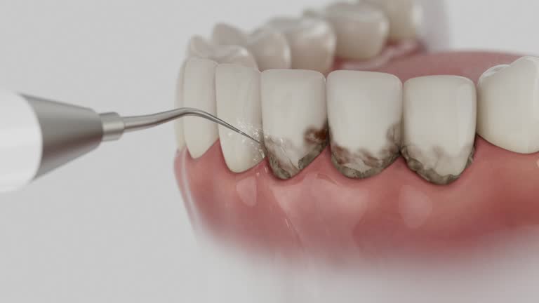 Reliable Dental contractor in North Pole, AK by Dentist Open Now
